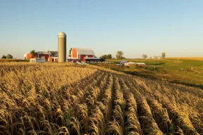 Cosa sapere prima di comprare una tenuta agricola