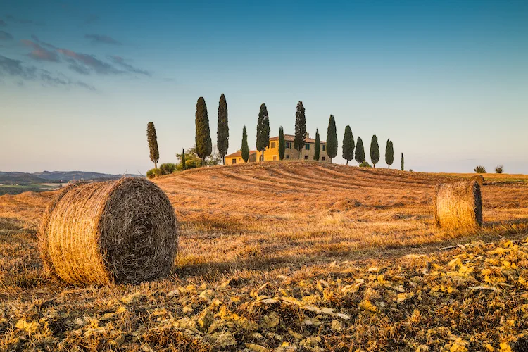 Cosa si può costruire su un terreno agricolo: ecco una panoramica
