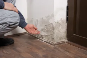 Vizio Occulto