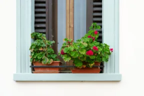 balcone con vasi