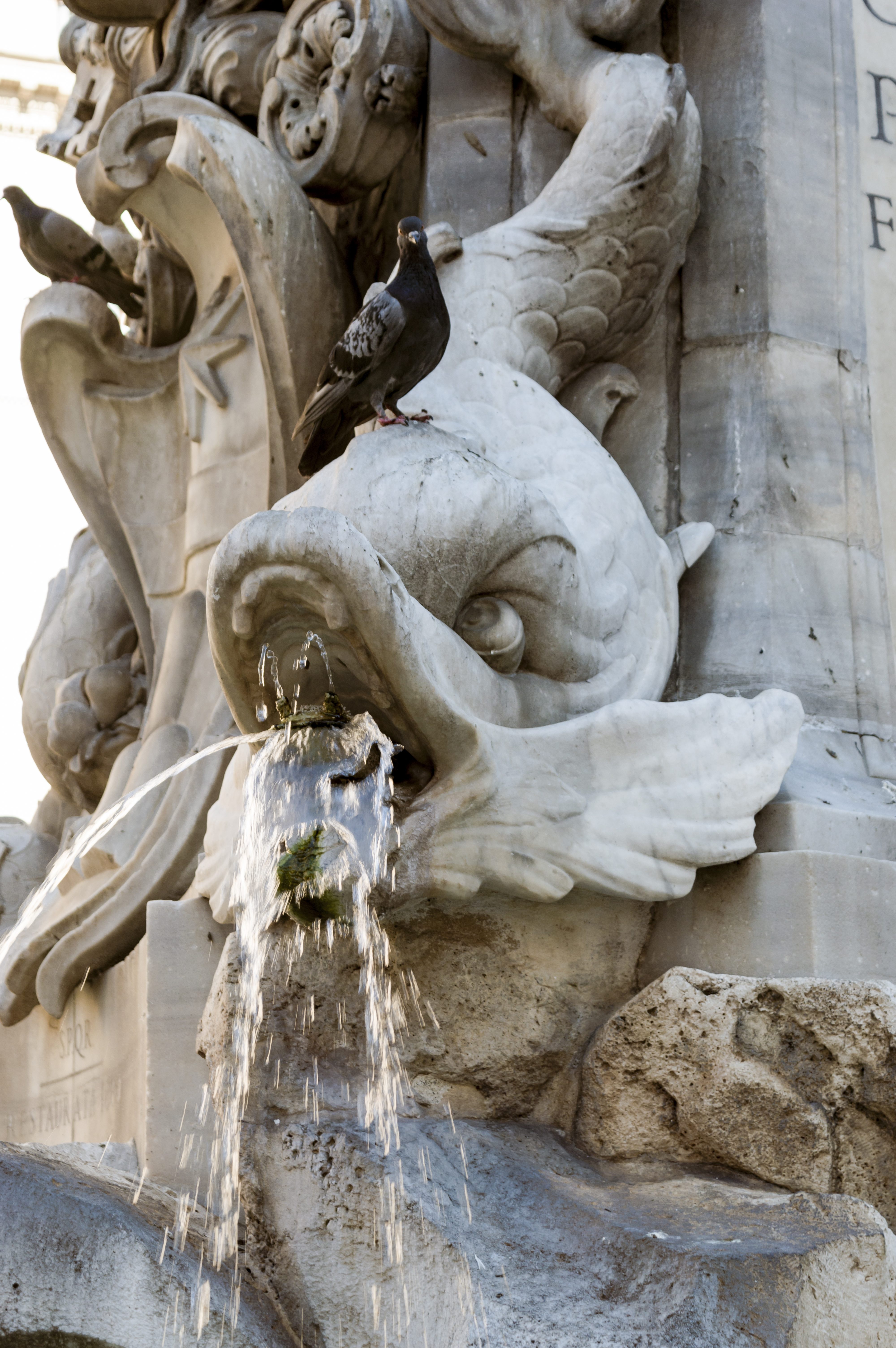 Fontana delle Rane