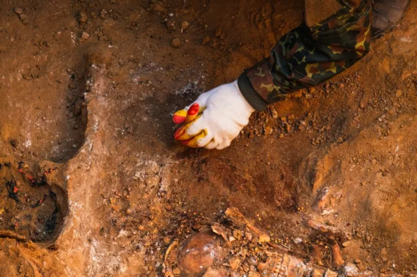Ritrovamento di un tesoro o di un reperto archeologico nella propria proprietà: come comportarsi?