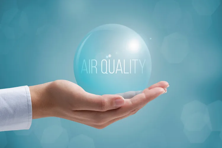 Smog in casa? 10 soluzioni per eliminarlo