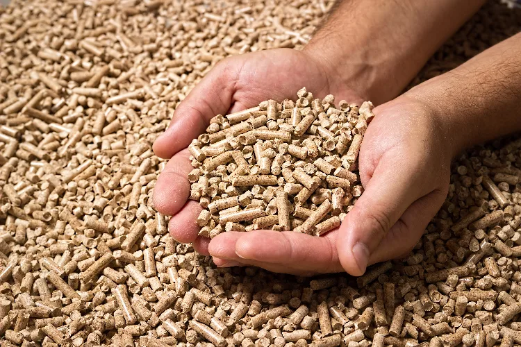 Quanto si risparmia con la stufa a pellet? pellet