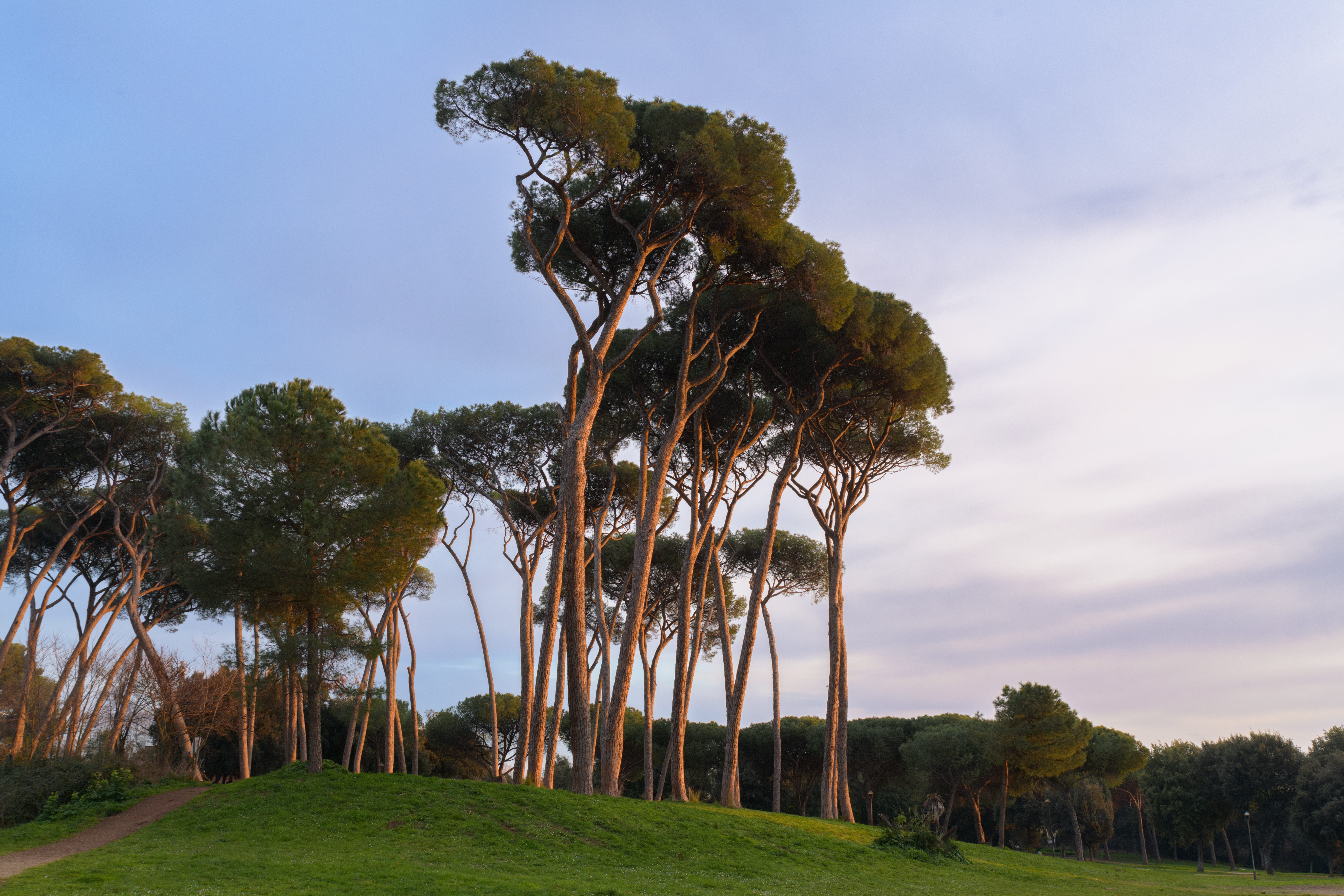 Villa Doria Pamphilj