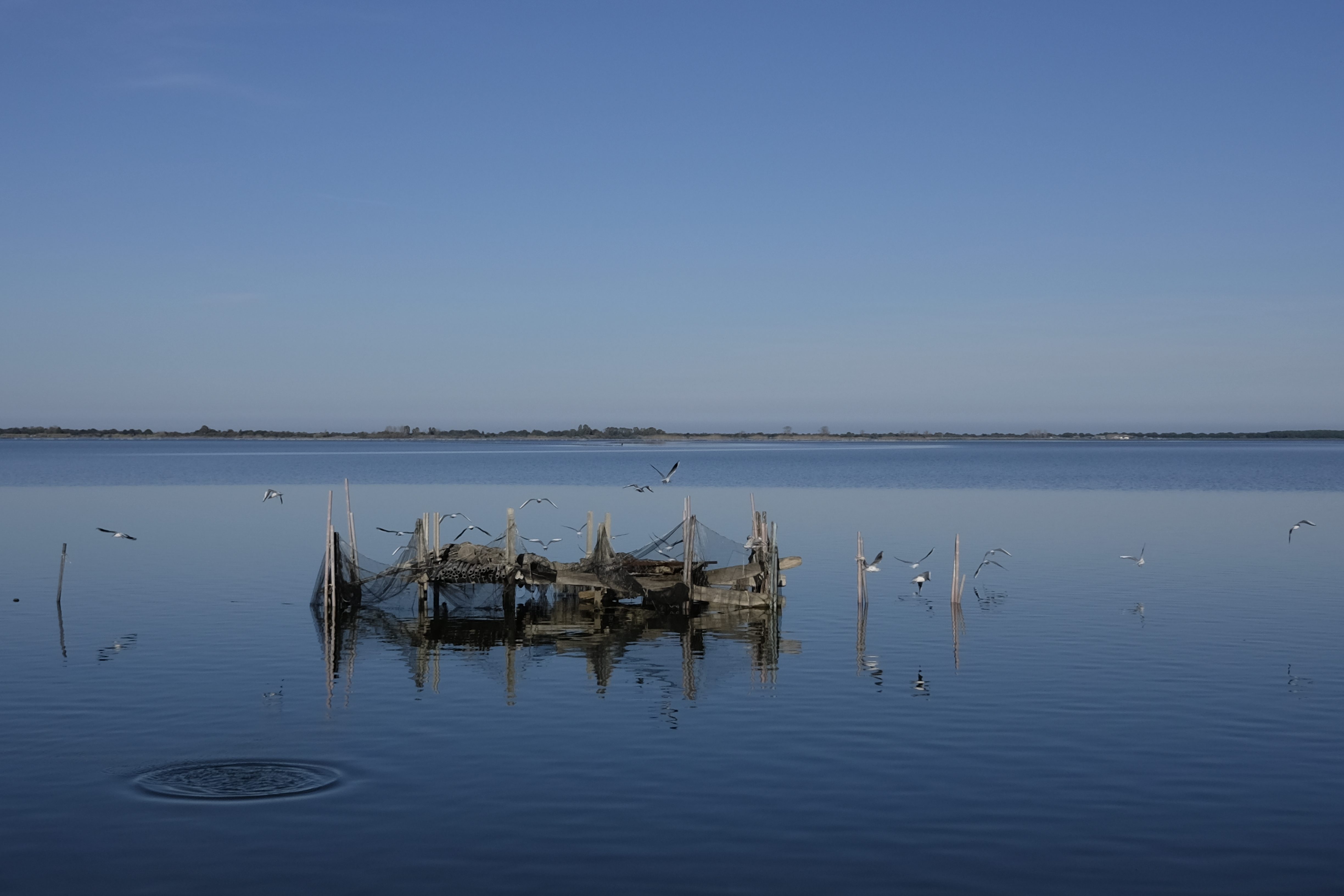 Lago di Lesina