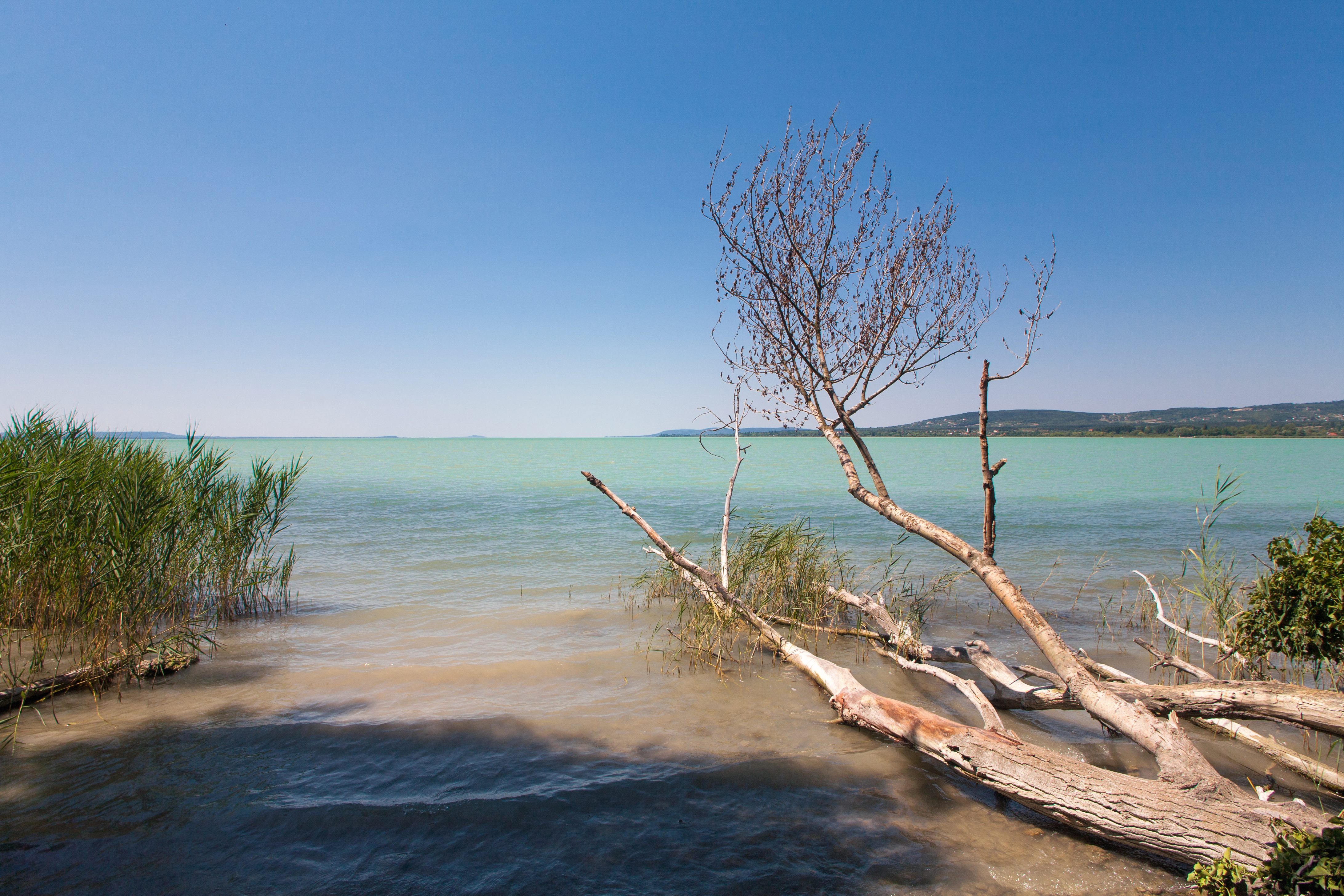 Lago di Varano