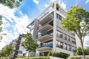 albero in condominio