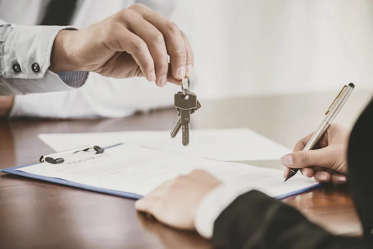 Cosa prevede il contratto di ospitalità gratuita?
