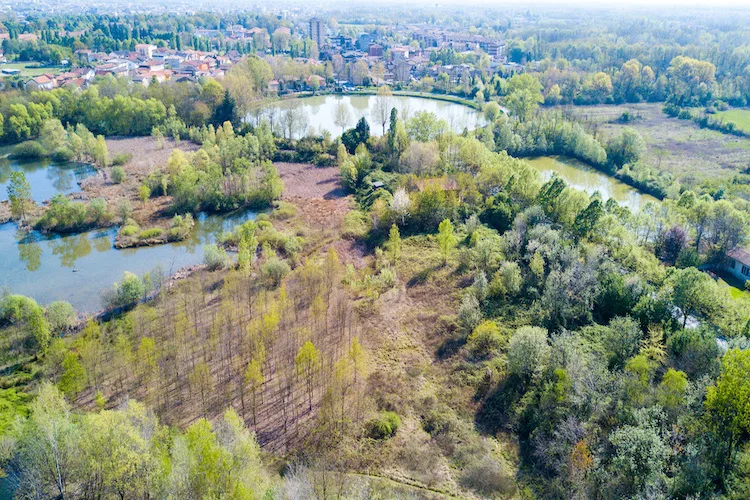 Cosa vedere nel Parco delle Groane, tra natura e ville storiche