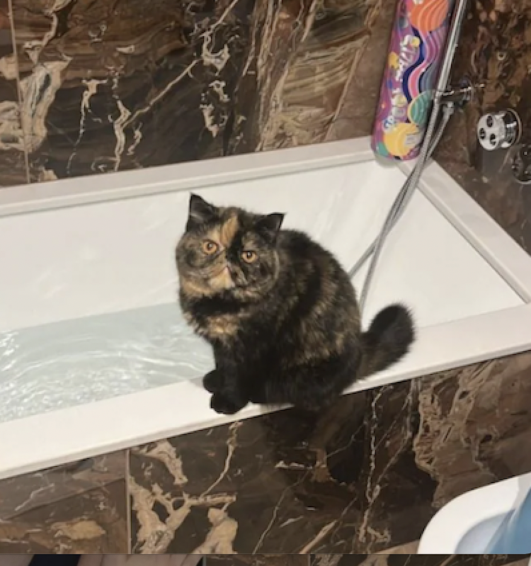 bagno marmo