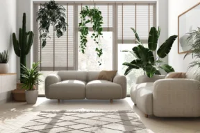 soggiorno con piante