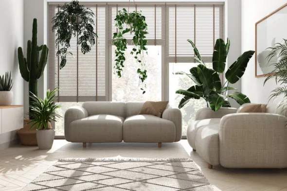 soggiorno con piante