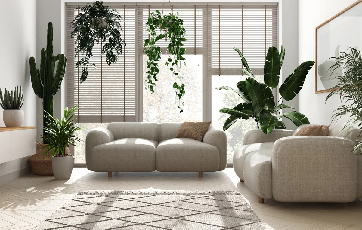 Le idee per dividere gli spazi di casa con le piante