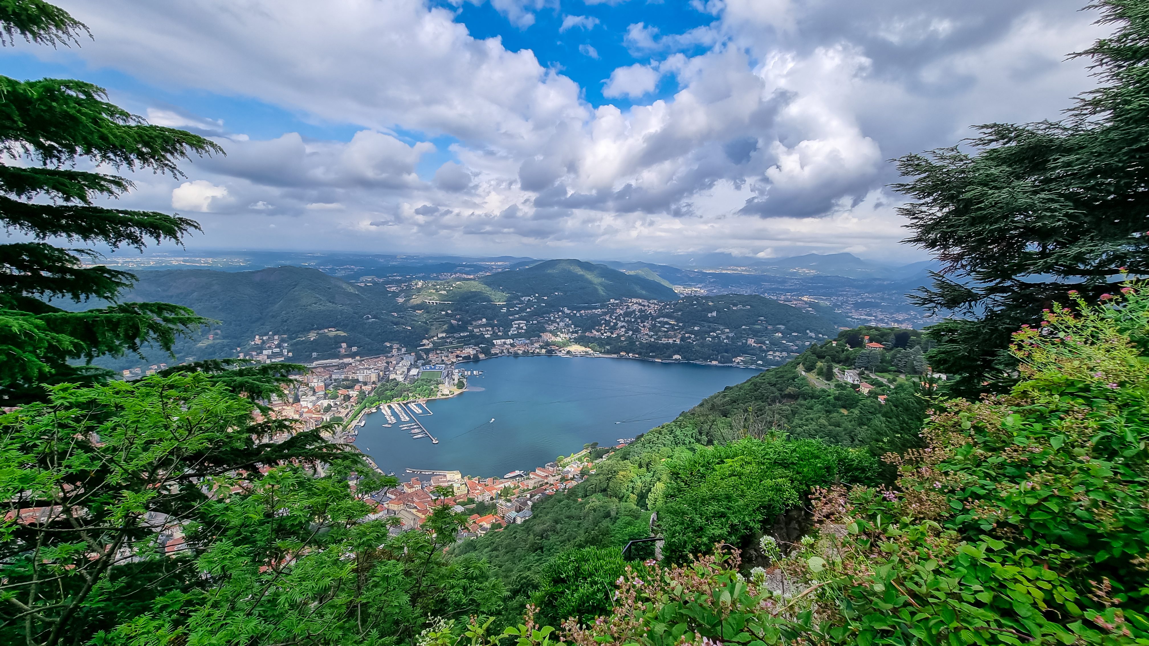 Brunate