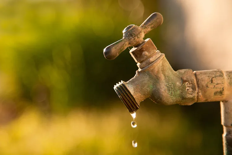 Come risparmiare acqua in casa: la guida definitiva per siccità e caro bollette
