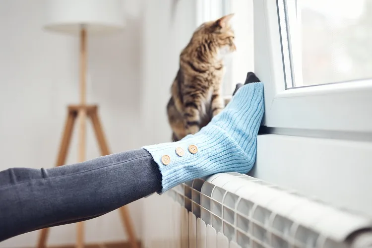 Qual è la differenza tra termosifone e calorifero?