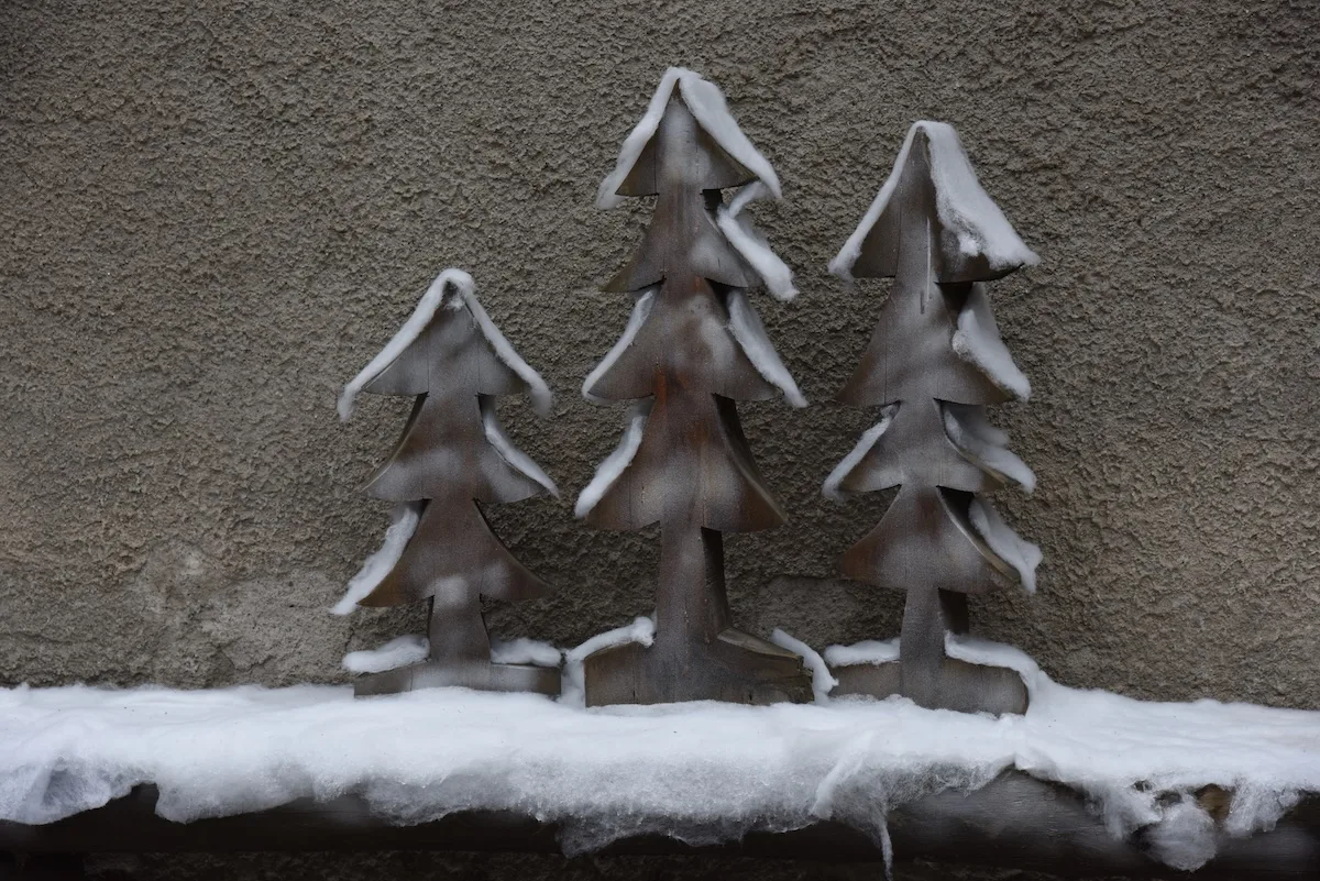 Neve finta 2
