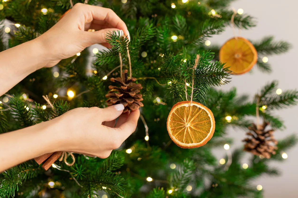 Pigne appese allalbero