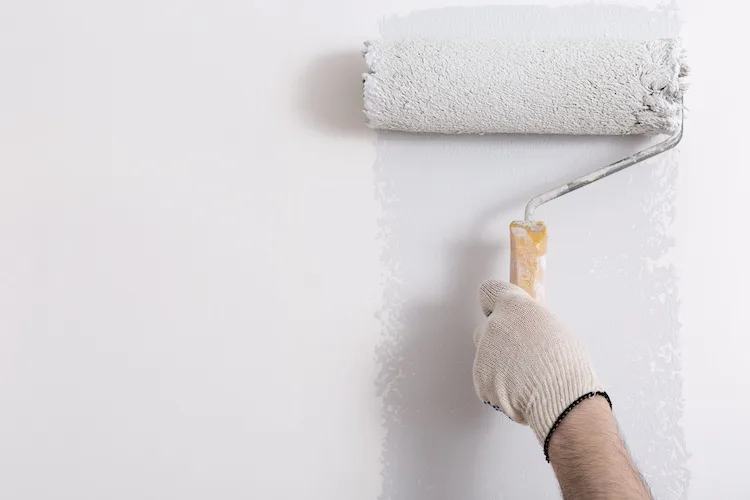 Qual è il periodo migliore per tinteggiare la casa?