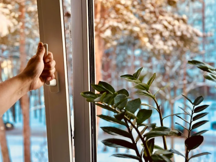 Tutti i vantaggi e gli svantaggi delle finestre in PVC