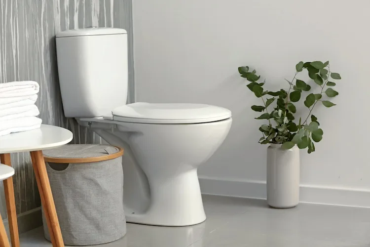 Come sturare il WC intasato e pieno d’acqua in modo facile