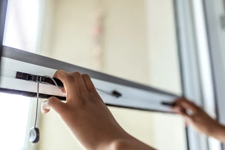 Qual è il periodo migliore dell’anno per installare le zanzariere?