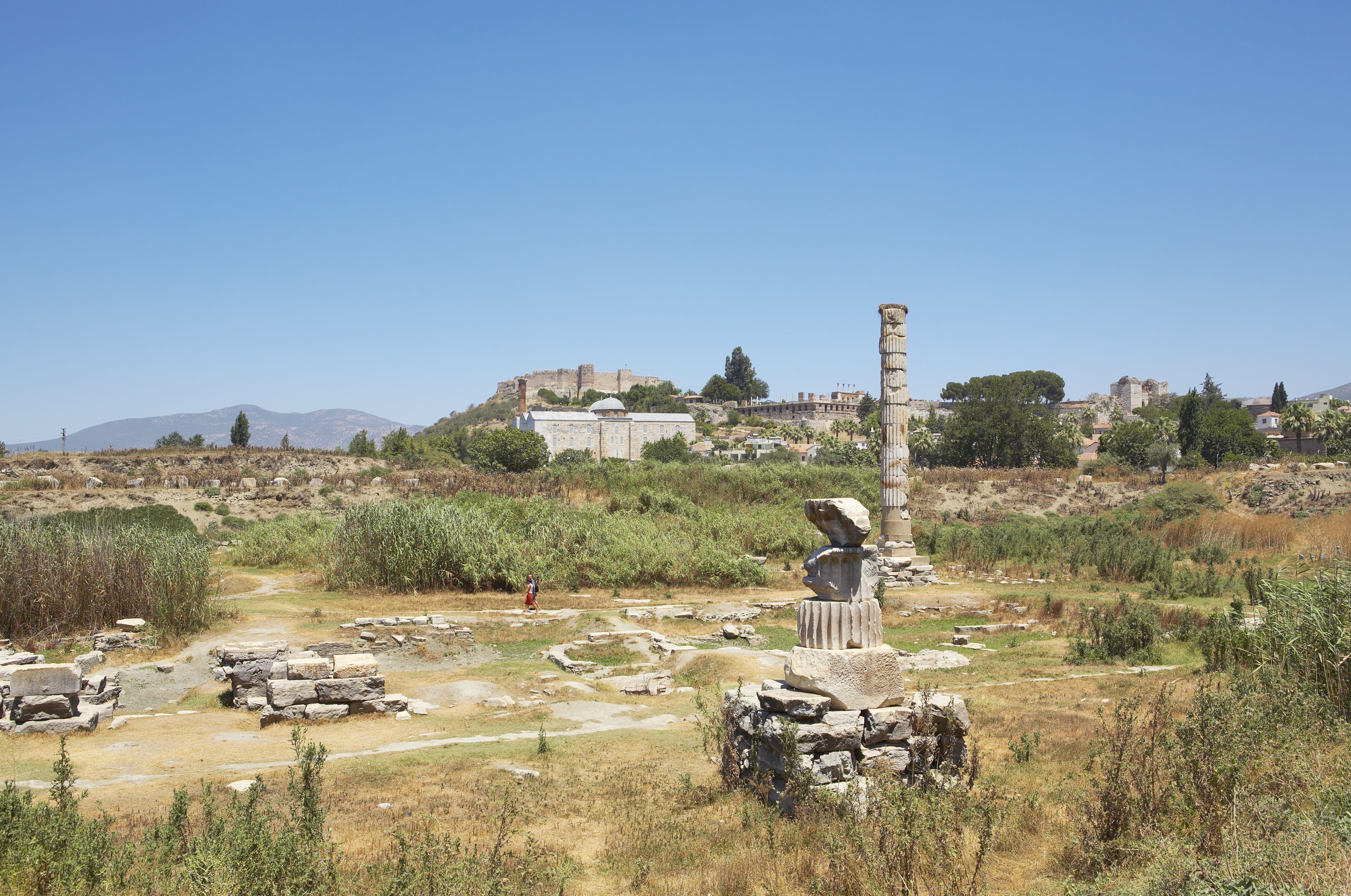 Resti del Tempio di Artemide a Efeso