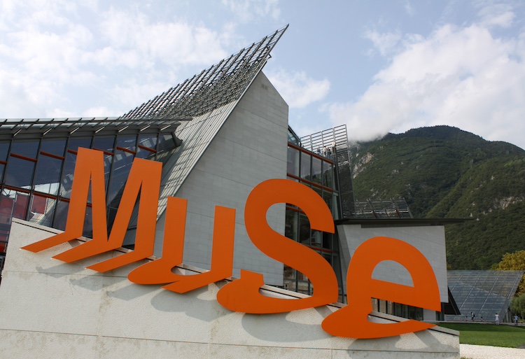 muse