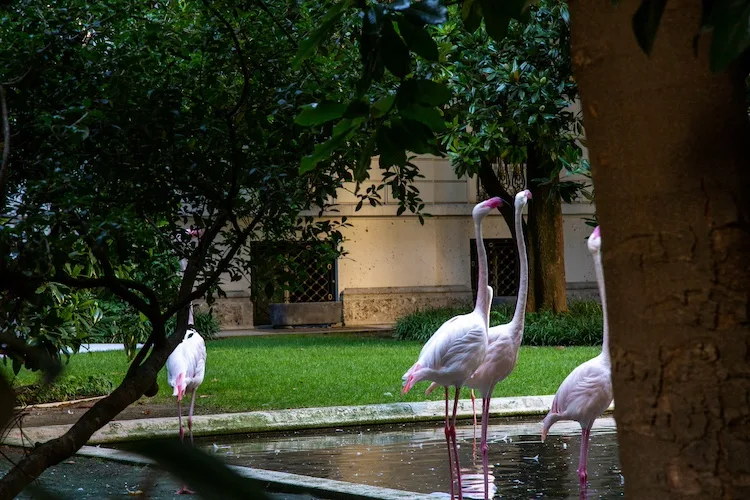 A Milano esiste una casa con i fenicotteri rosa: tutto su Villa Invernizzi
