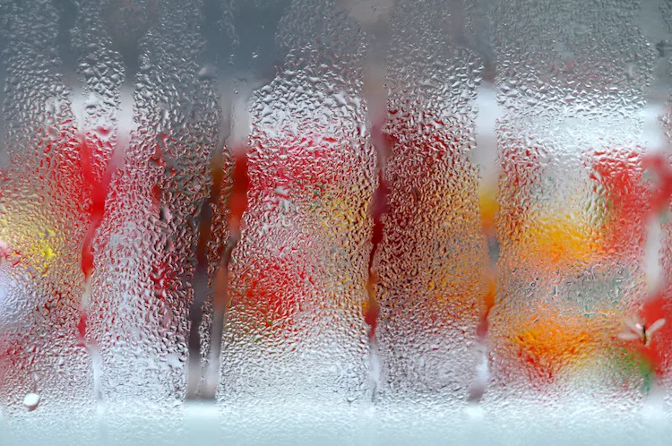 Condensa nel frigorifero, perché si forma e cosa fare? Ecco come eliminarla