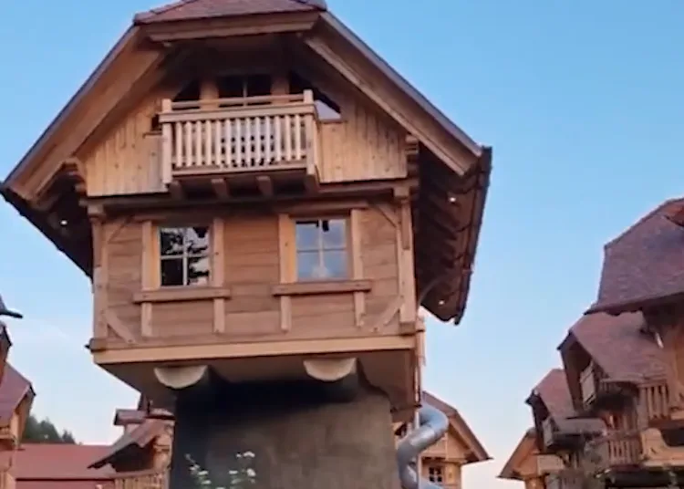 In Germania esiste un villaggio vacanze fatto di “case sull’albero”