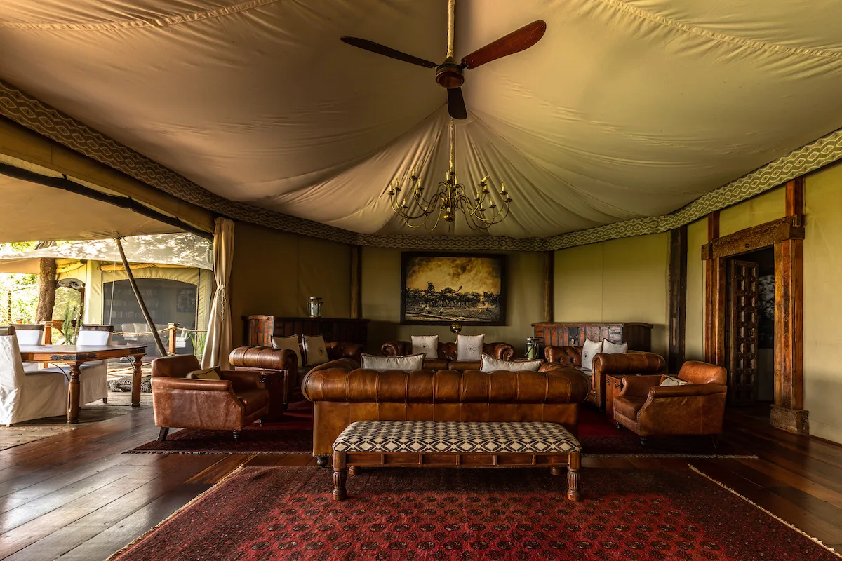 Arredamento in stile Safari: ecco come dare un tocco esotico agli interni