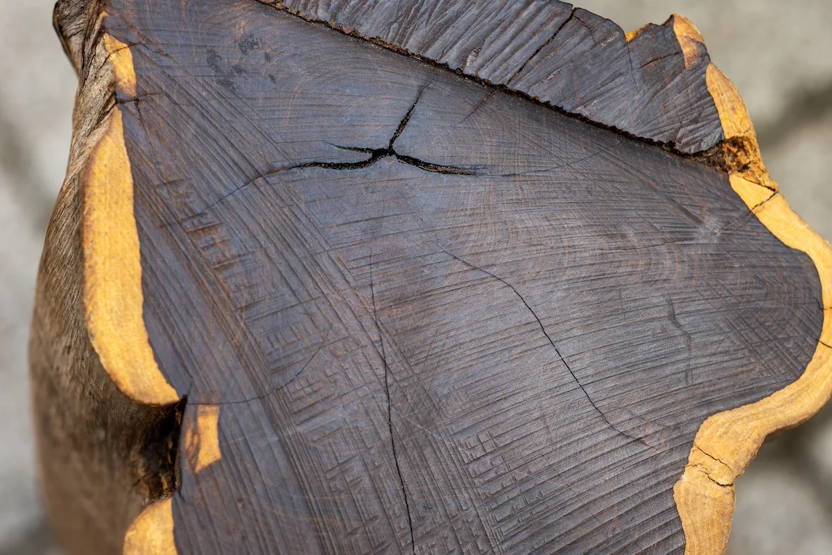 Caratteristiche del legno di ebano: come usarlo in casa e come prendersene cura