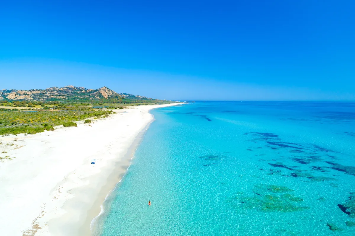 Sulla spiaggia di Berchida potete prendere il sole insieme alle mucche