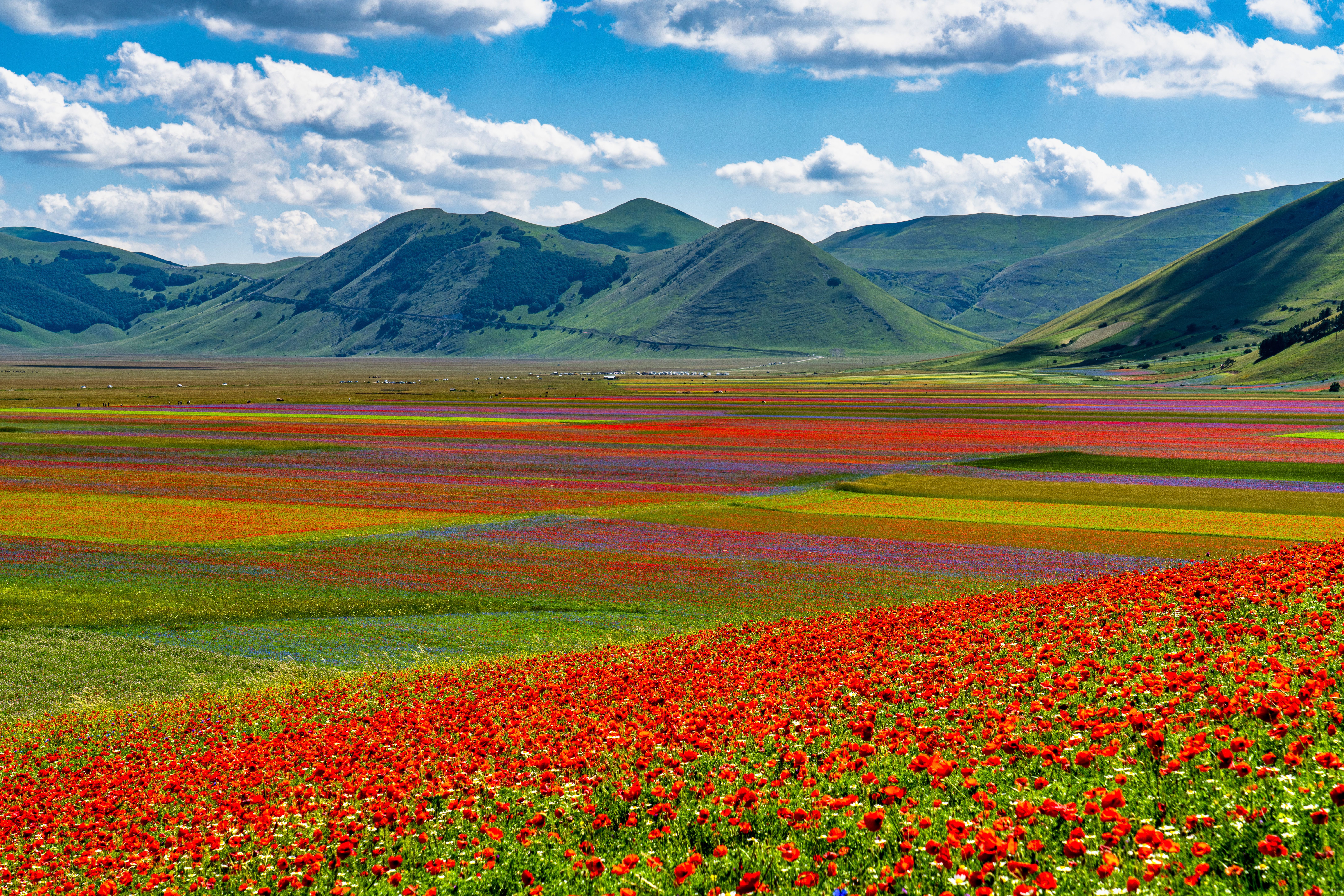 Piana di Castelluccio di Norcia