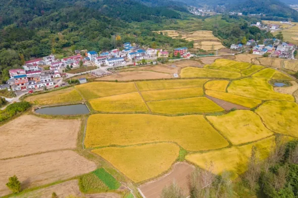 Huanggang, Hubei