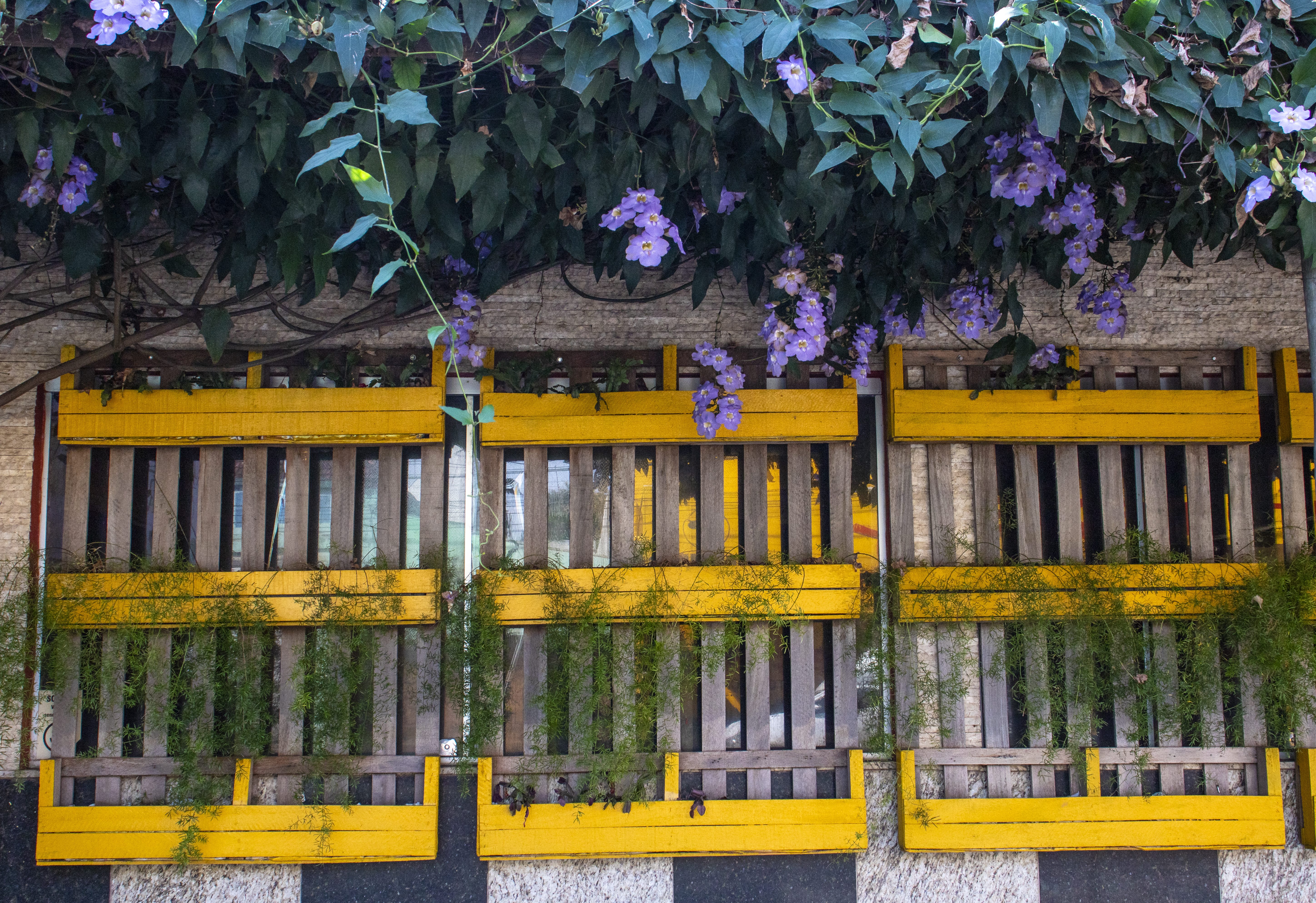 parete per piante realizzata in pallet