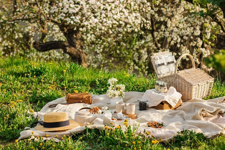 Come organizzare un picnic perfetto nel giardino di casa