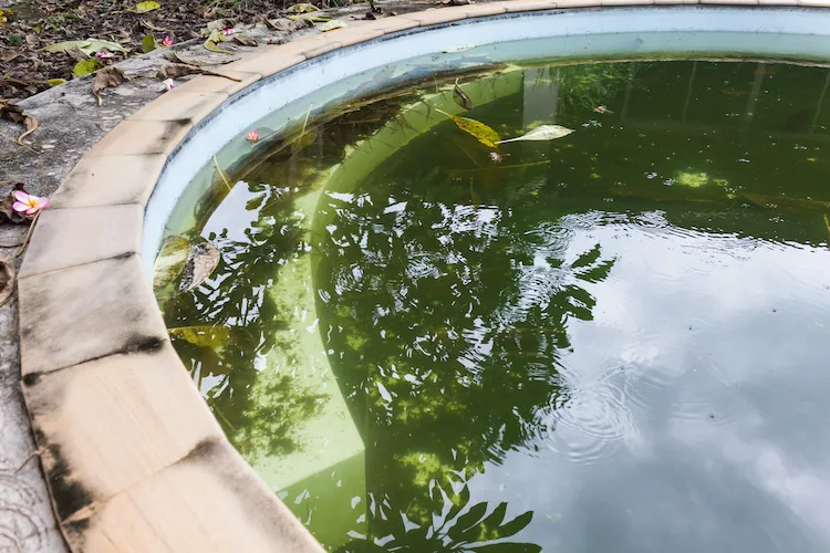 Acqua della piscina torbida, perché succede e cosa fare