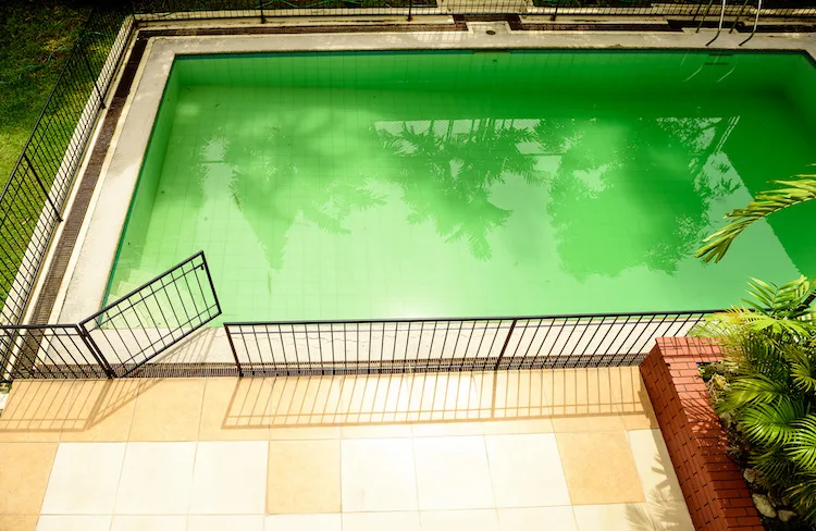 Cosa vuol dire quando l’acqua della piscina diventa verde e cosa fare
