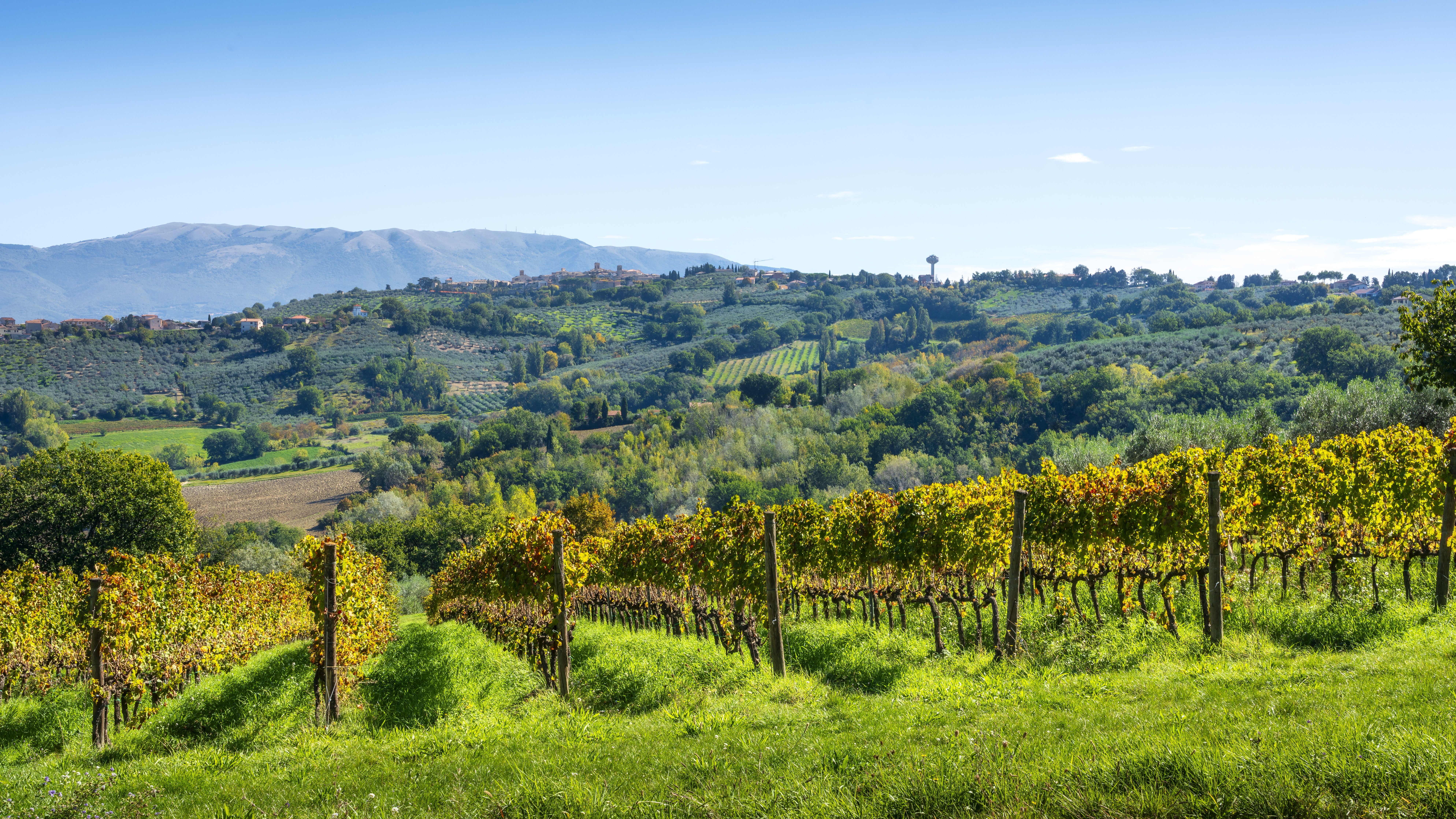 Montefalco