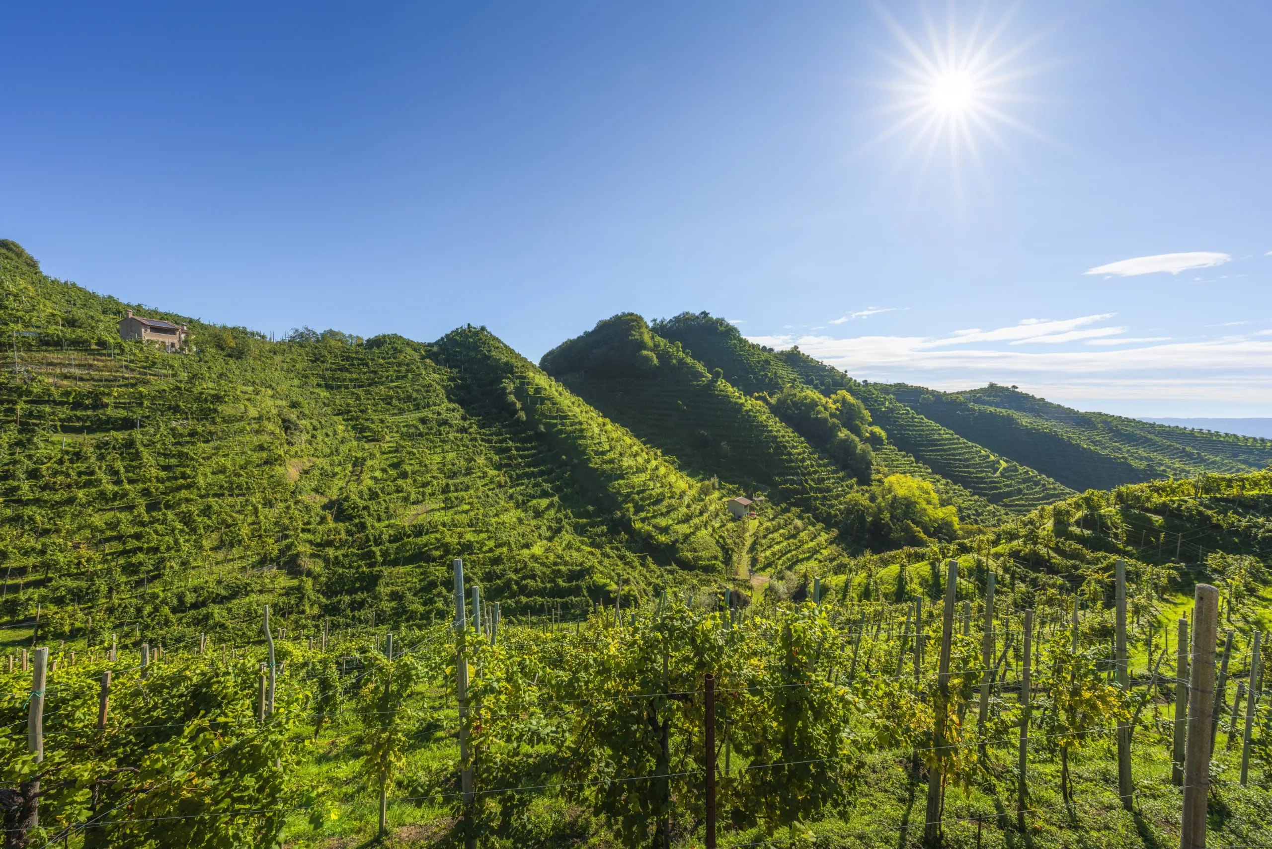 Strada del Prosecco: dove inizia, quanto è lunga e come percorrerla