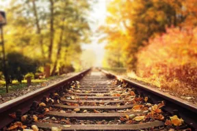 binari tra il foliage