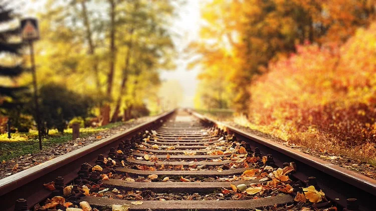 Treno del Foliage 2025: tappe, prezzi, orari e come prenotare