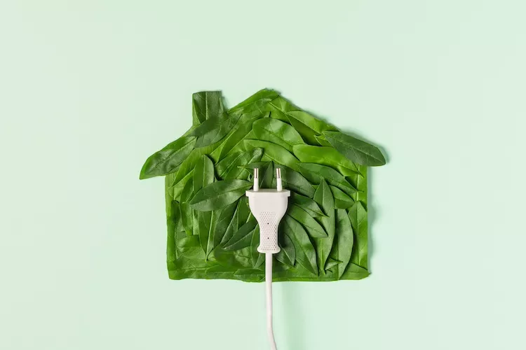 Case Green