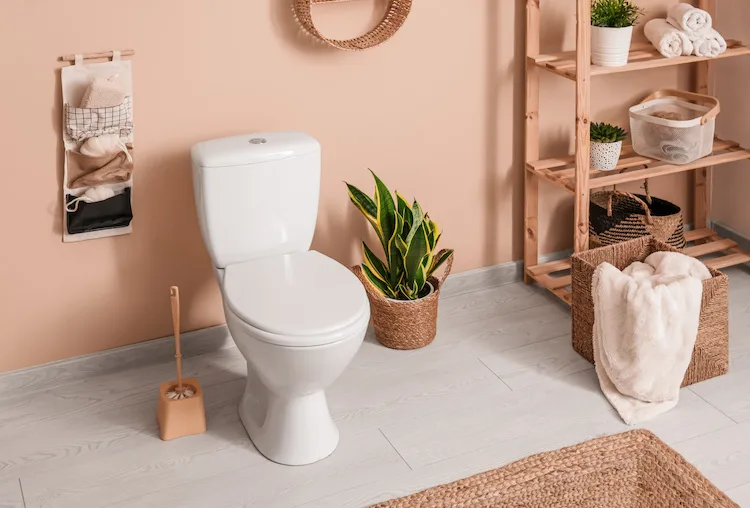 Come pulire un WC incrostato da anni