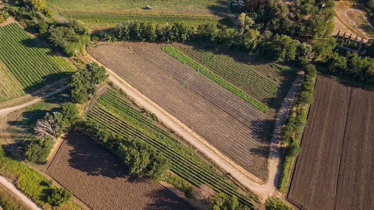 Cos’è e come funziona l’usucapione di terreno?