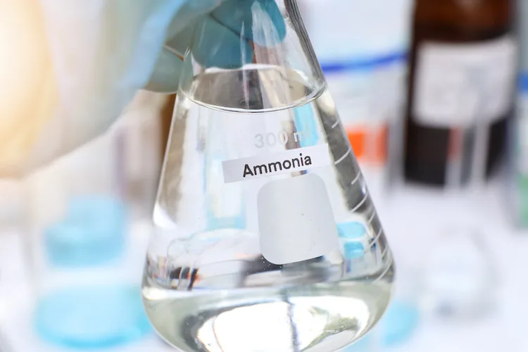 Odore di ammoniaca in casa, ecco come neutralizzarlo