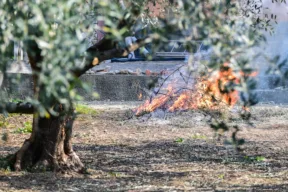 Si possono bruciare sterpaglie nel proprio giardino?